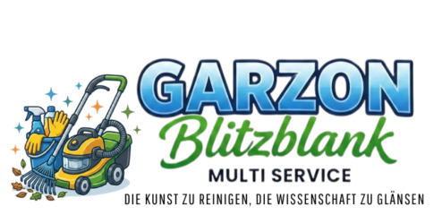 die kunst zu reinigen, die wissenschaft zu glánsen